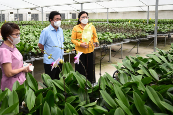 Bộ trưởng Lê Minh Hoan thăm mô hình trồng hoa lan tại huyện Đan Phượng, Hà Nội. Ảnh: Tùng Đinh.